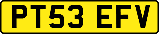 PT53EFV