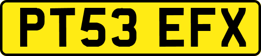 PT53EFX