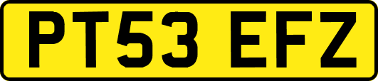 PT53EFZ