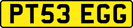 PT53EGG