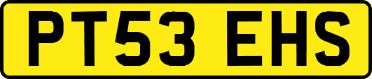PT53EHS