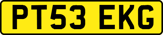 PT53EKG