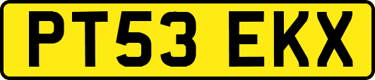 PT53EKX