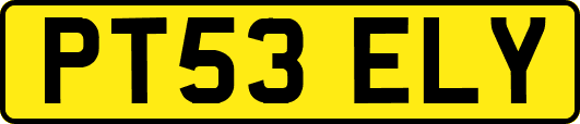 PT53ELY