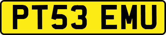 PT53EMU