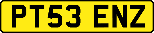 PT53ENZ