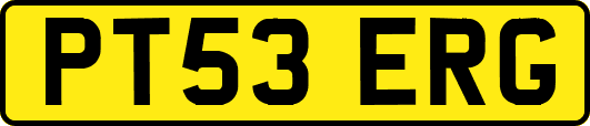 PT53ERG