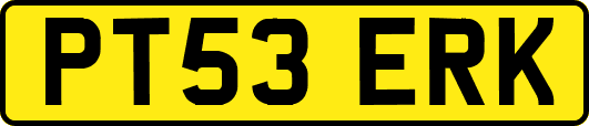 PT53ERK