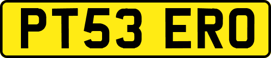 PT53ERO