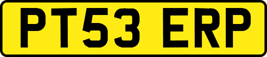PT53ERP