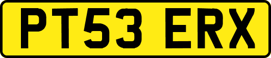 PT53ERX
