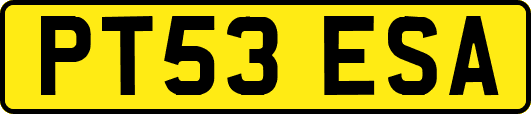 PT53ESA