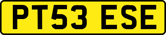 PT53ESE