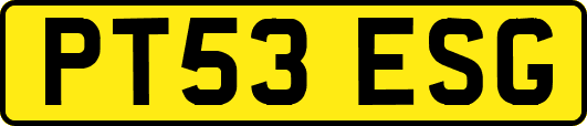 PT53ESG