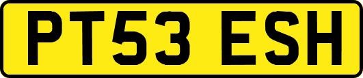 PT53ESH