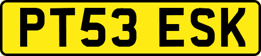 PT53ESK