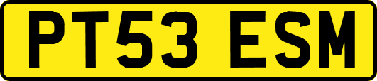 PT53ESM