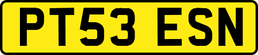 PT53ESN