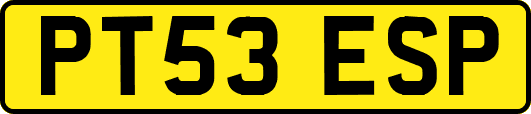 PT53ESP