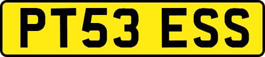 PT53ESS