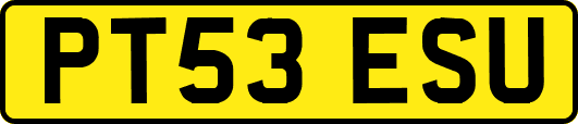 PT53ESU