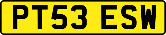 PT53ESW