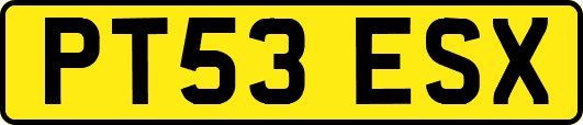 PT53ESX