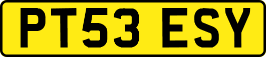 PT53ESY
