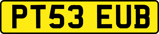 PT53EUB