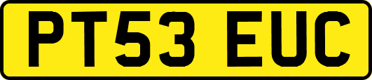 PT53EUC