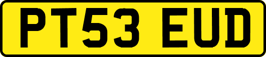 PT53EUD