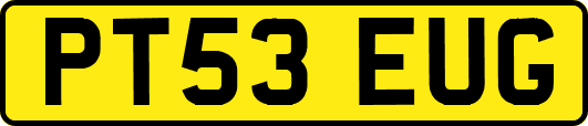 PT53EUG