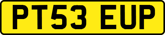 PT53EUP