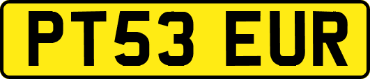 PT53EUR