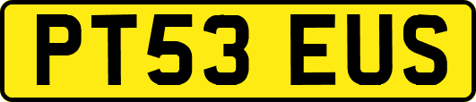 PT53EUS