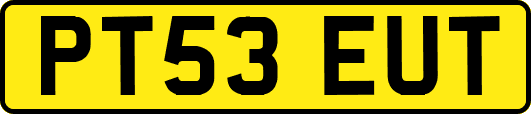 PT53EUT