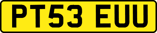 PT53EUU