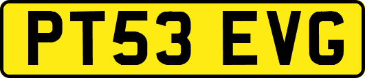 PT53EVG