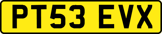 PT53EVX
