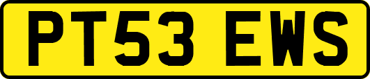 PT53EWS
