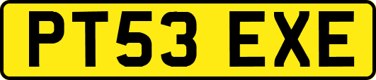PT53EXE