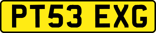 PT53EXG