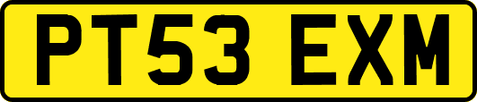 PT53EXM