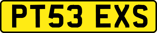 PT53EXS