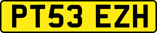 PT53EZH