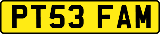 PT53FAM