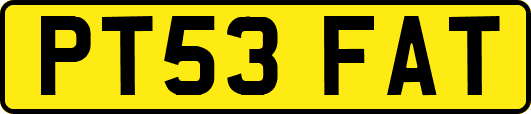 PT53FAT
