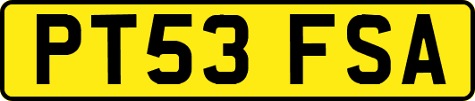 PT53FSA