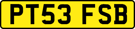 PT53FSB