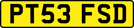 PT53FSD
